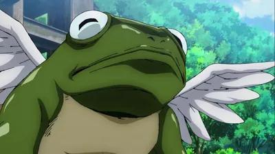 Toad