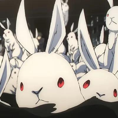 Rabbit Escape